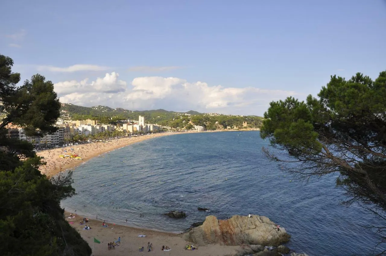 Maison d'hôtes Hostal - Pension El Amigo Lloret de Mar